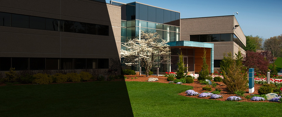 Ventnor City Landscapers