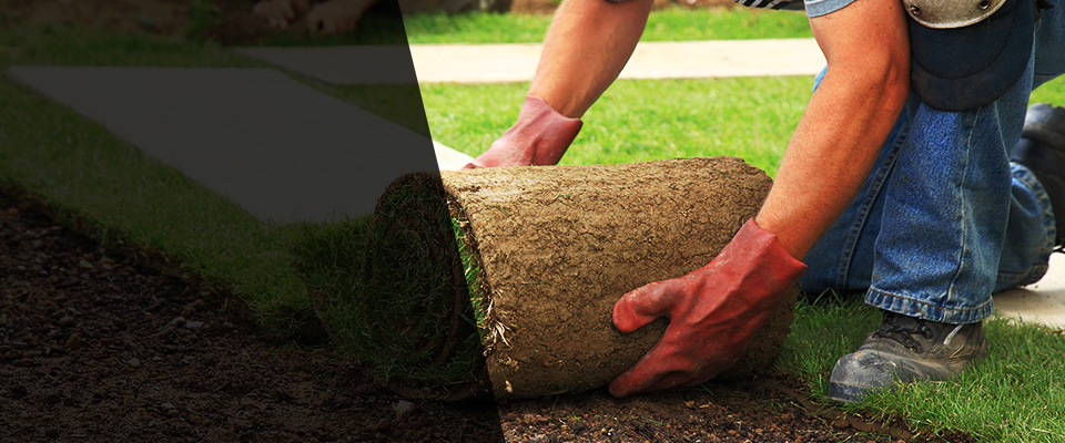 Ventnor City Landscapers